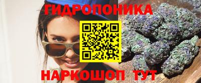 эйфоретик Моздок